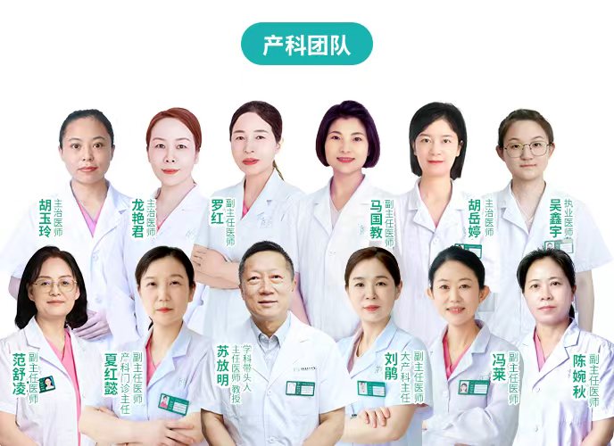 苏放明教授产科团队